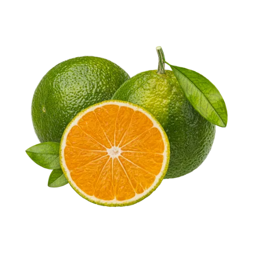 Naranja Común Valencia