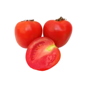 Tomate Chonto